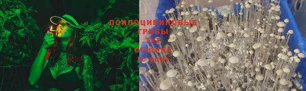 PSILOCYBIN Красноперекопск