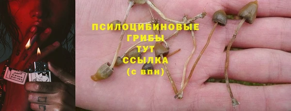 COCAINE Краснослободск
