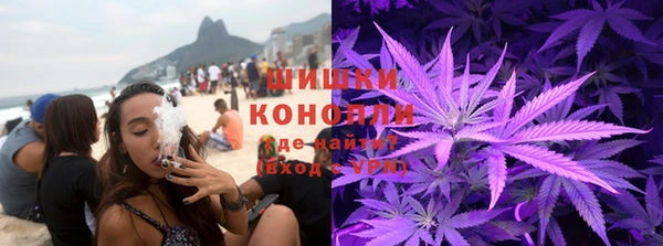 PSILOCYBIN Красноперекопск